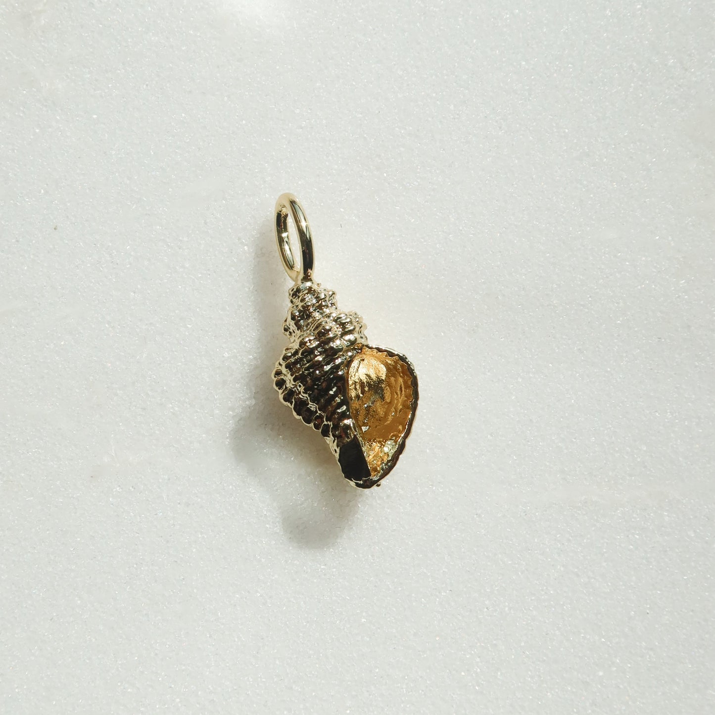 Conch Shell Charm Charms & Pendants The Sis Kiss 