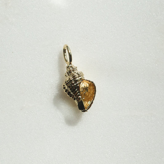 Conch Shell Charm Charms & Pendants The Sis Kiss 