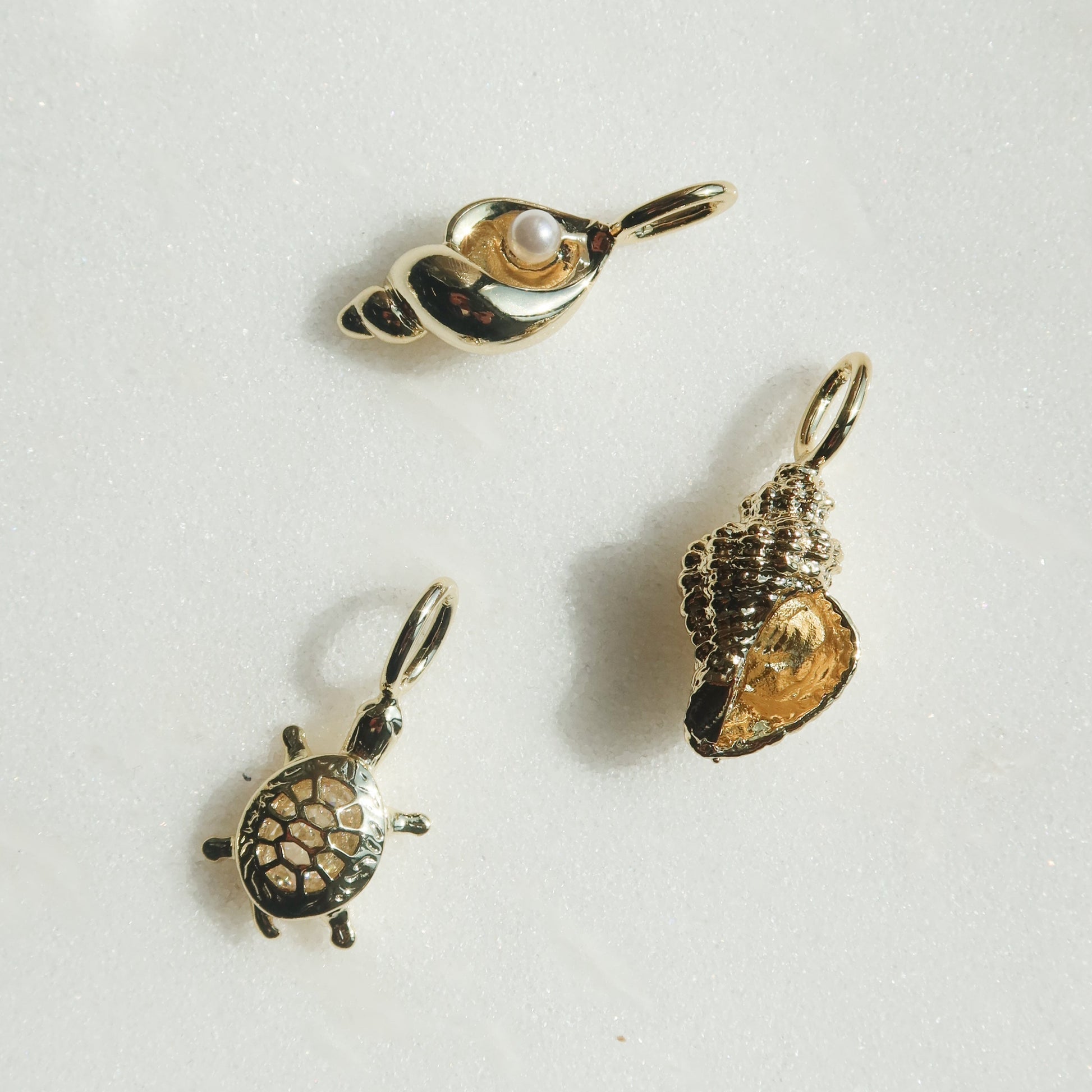 Conch Shell Charm Charms & Pendants The Sis Kiss 